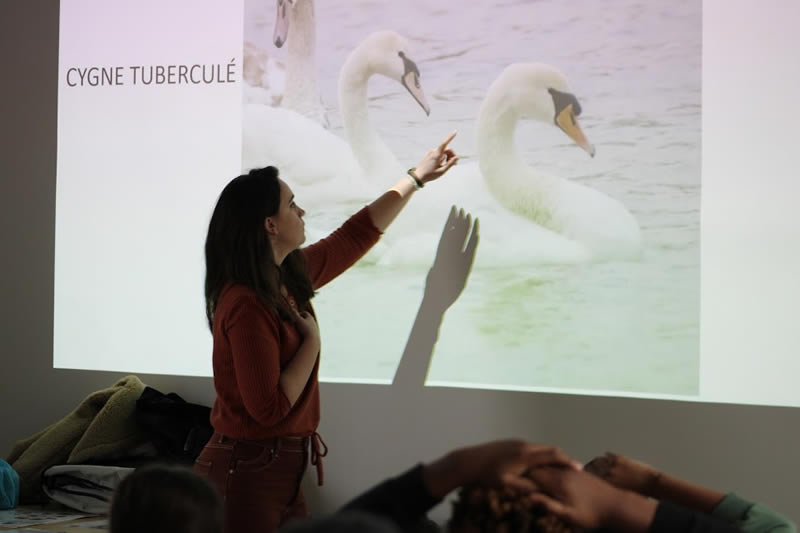 en classe Animation