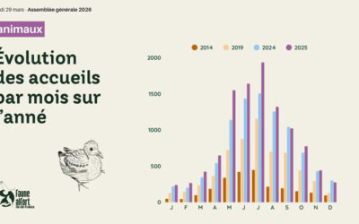 Pourquoi les centres de soins sont particulièrement sous pression au printemps?